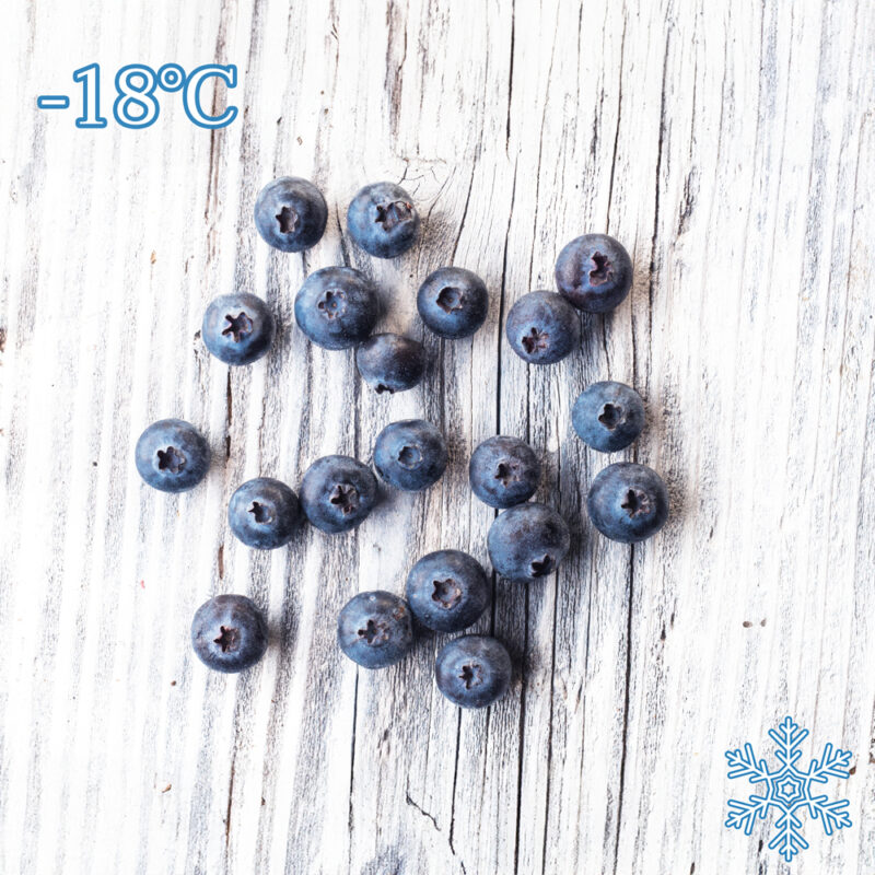 Vaccinium angustifolium külmutatud kanada metsmustikas