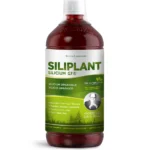 Organinis skystas silicis