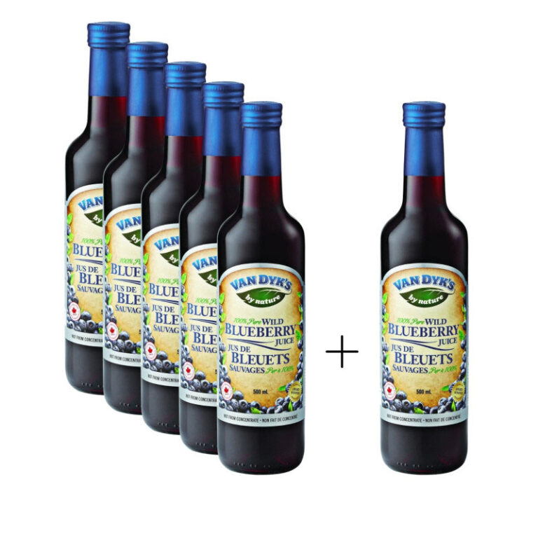 Kanados laukinių mėlynių sultys 500ml x 6vnt (dėžėje) | Van Dyk